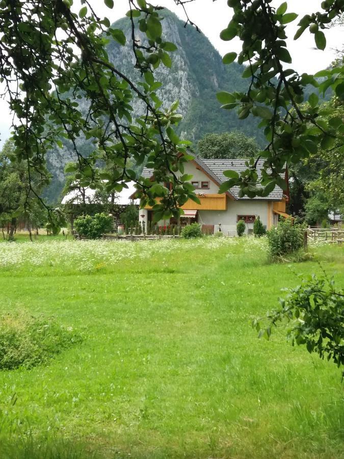 Apartma Bremec-Studio Bohinj Exterior photo